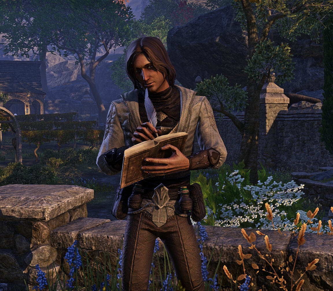 Screenshot by Annonere